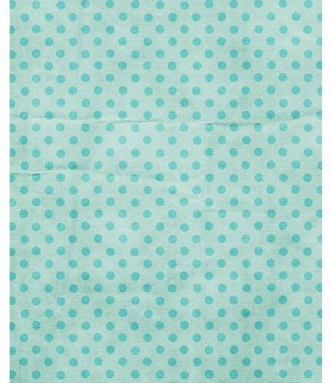Dotty Turquoise 12" x 12" Printed Paper - PTW013