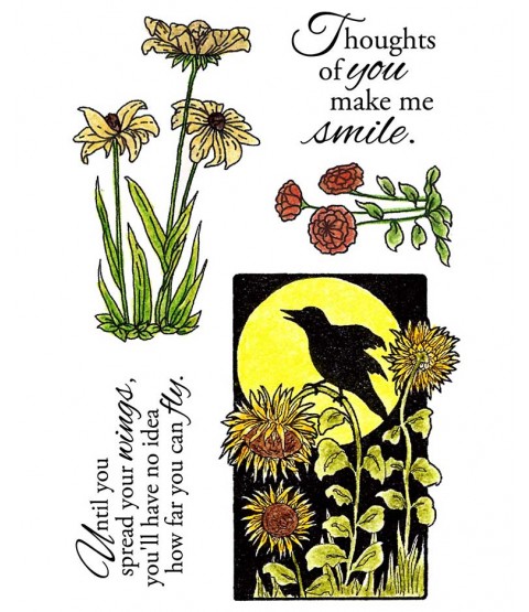 Nancy Baier Blackbird & Flowers Clear Stamp Set 11130MC