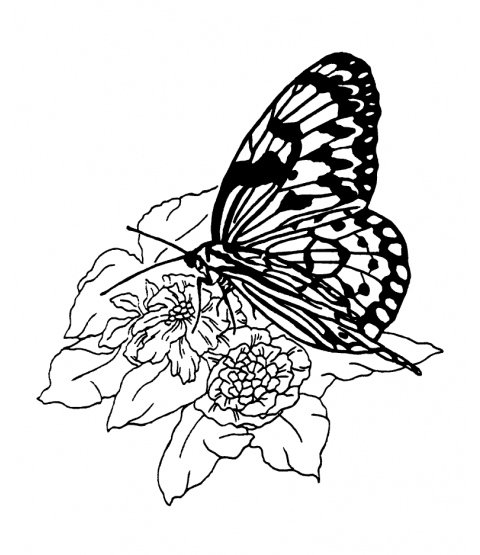 Nancy Baier Butterfly on Flower Wood Mount Stamp M5-0556J