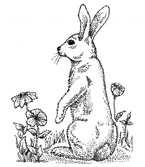 Nancy Baier Curious Rabbit Wood Mount Stamp K2-0562H