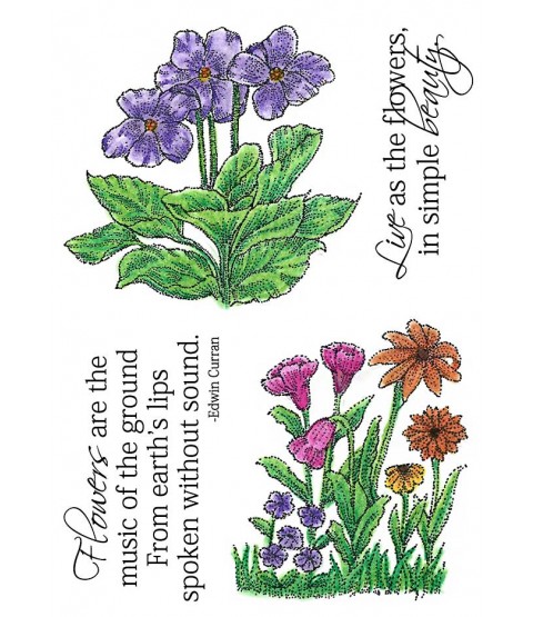 Nancy Baier Forest Flowers Clear Stamp Set 11285MC