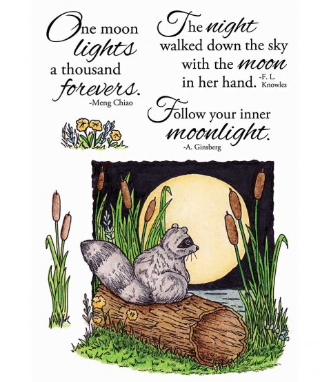 Nancy Baier Moonlight Raccoon Clear Stamp Set 11111MC