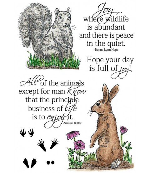 Nancy Baier Squirrel & Rabbit Clear Stamp Set 11286MC