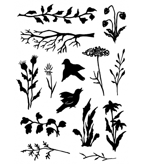 Nancy Baier Wildflowers & Weeds Clear Stamp Set 11201MC