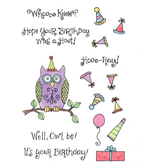 Ronnie Walter Owl Birthday Clear Stamp Set 10966MC