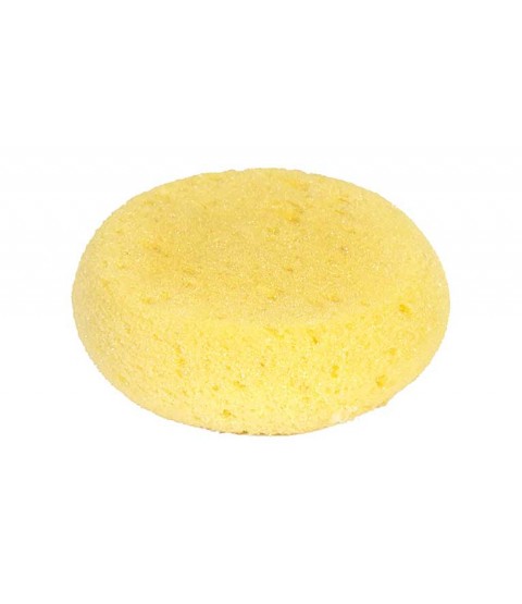 Round Craft Sponge