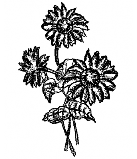 Sunflowers Wood Mount Stamp M1-10126J