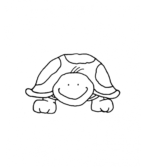 Tammy DeYoung Turtle Mount Stamp G2-0772F
