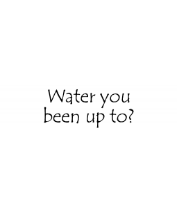 Water You Been Wood Mount Stamp D7-0569D