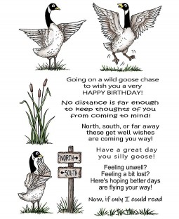 Heidi Pettie Clear Stamps: Geese 11527MC