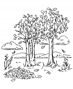 Birch Trees Wood Mount Stamp M2-9461J