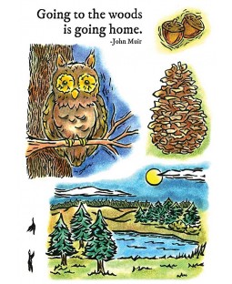 Nancy Baier Forest & Pines Clear Stamp Set 11197MC