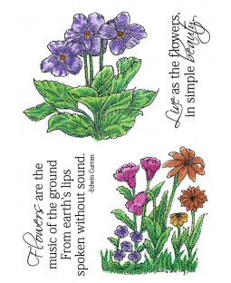 Forest Flowers Clear Stamp Set 11285MC
