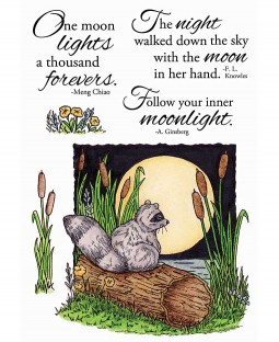 Moonlight Raccoon Clear Stamp Set 11111MC