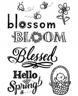 Spring Words Clear Stamp Set - 11505MC