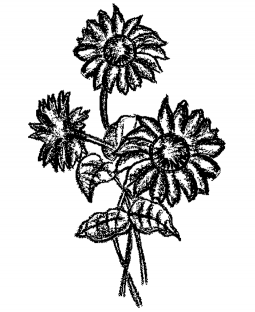 Sunflowers Wood Mount Stamp M1-10126J