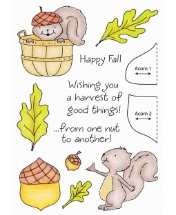 Squirrel Clear Stamp Set 11117MC