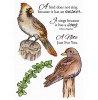 Nancy Baier Perching Birds Clear Stamp Set 11113MC