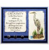 Nancy Baier Water Fowl Clear Stamp Set 11284MC